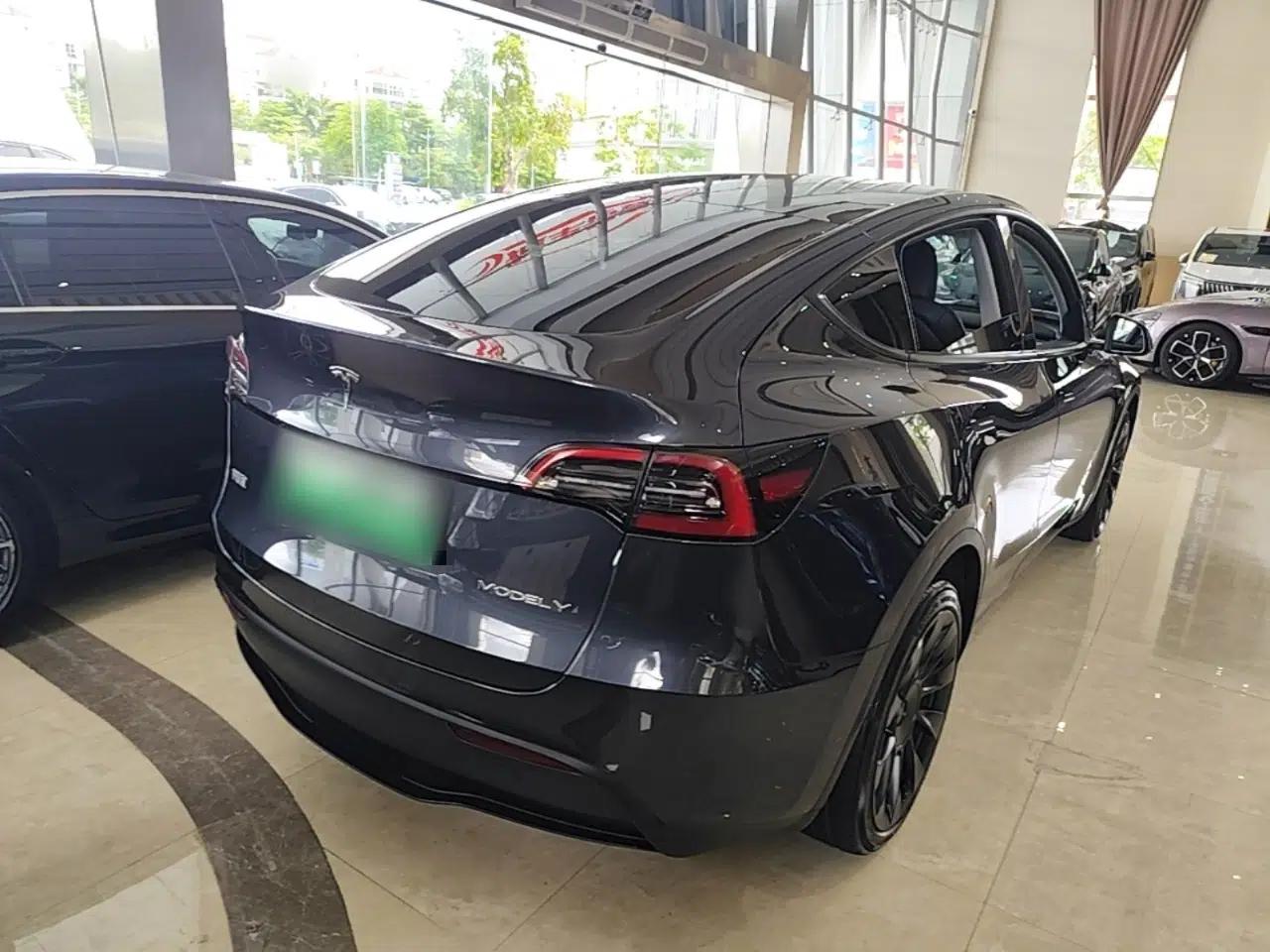 Tesla Model Y 2024 Long-Range All-Wheel-Drive Version — миниатюра 6