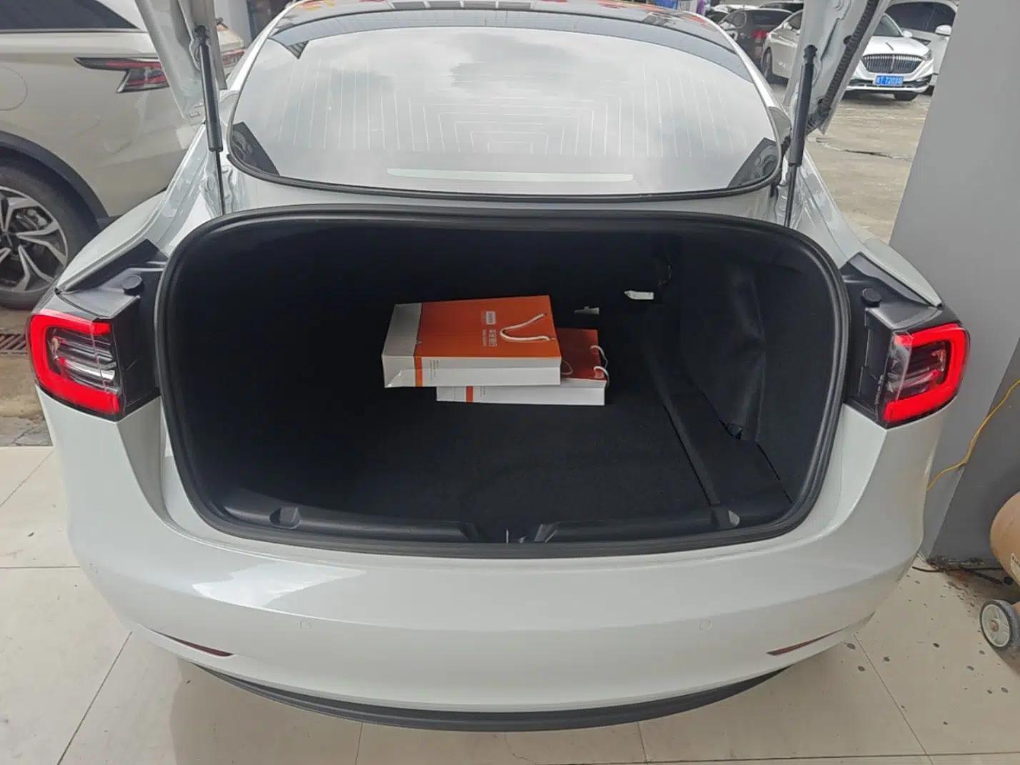 Tesla Model 3 2020 Revised Version Standard Range Rear-Wheel Drive – Upgraded Edition — миниатюра 22