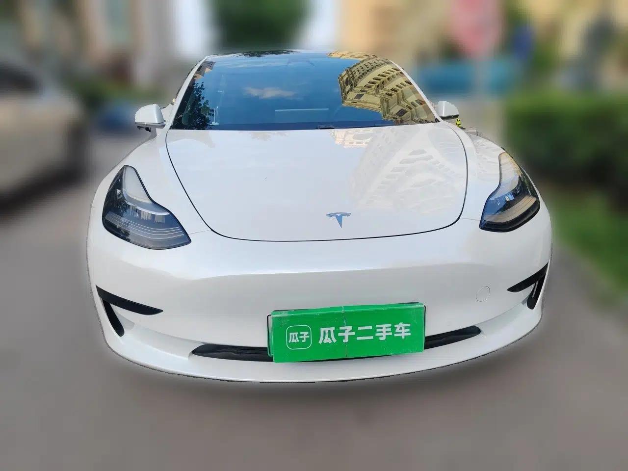 Tesla Model 3 2020 Standard Range Rear-Wheel Drive Upgraded Version — миниатюра 2