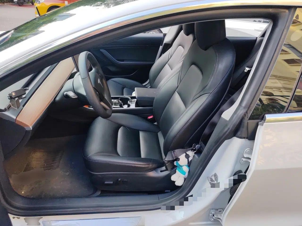 Tesla Model 3 2020 Standard Range Rear-Wheel Drive Upgraded Version — миниатюра 15