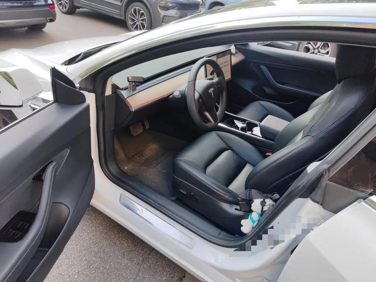 Tesla Model 3 2020 Standard Range Rear-Wheel Drive Upgraded Version — миниатюра 16