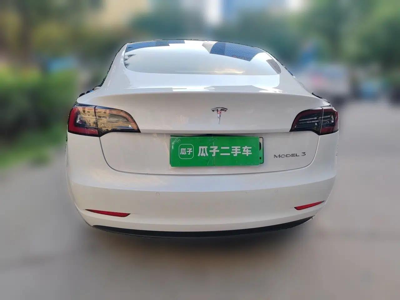 Tesla Model 3 2020 Standard Range Rear-Wheel Drive Upgraded Version — миниатюра 5