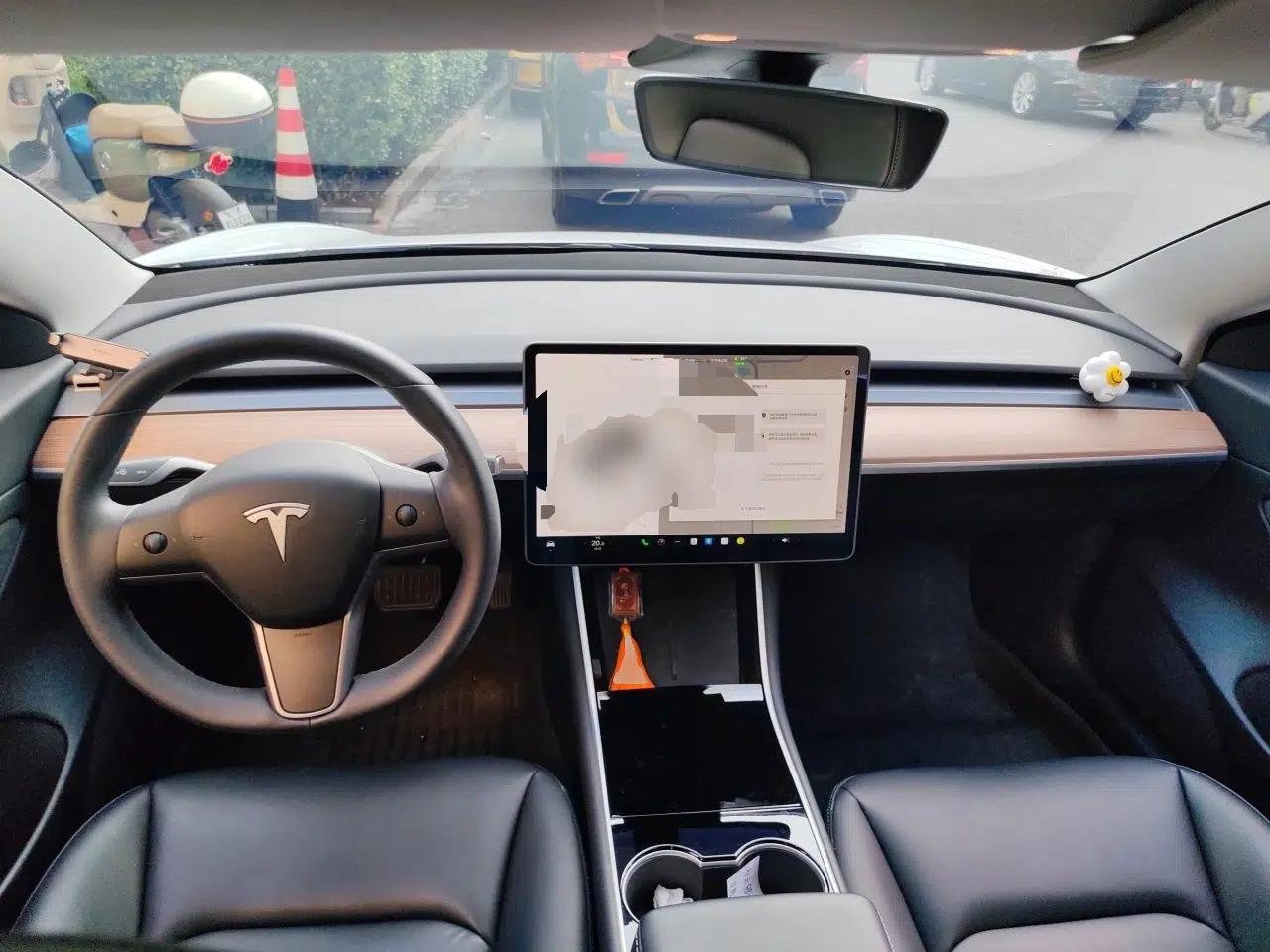 Tesla Model 3 2020 Standard Range Rear-Wheel Drive Upgraded Version — миниатюра 9