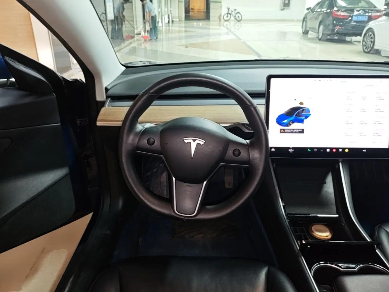 Tesla Model 3 2019 Standard Range Rear-Wheel Drive Upgraded Version (60 kWh) — миниатюра 13