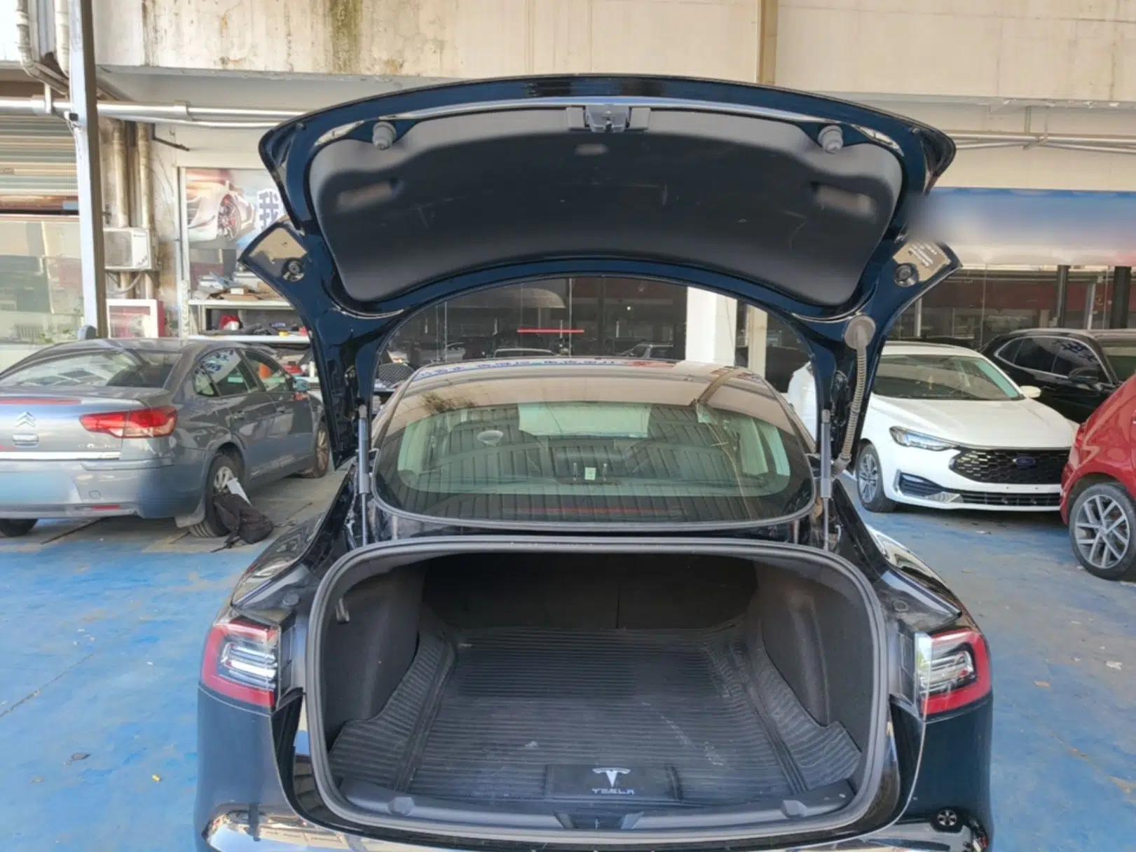 Tesla Model 3 2020 Revised Version Standard Range Rear-Wheel Drive – Upgraded Edition — миниатюра 22