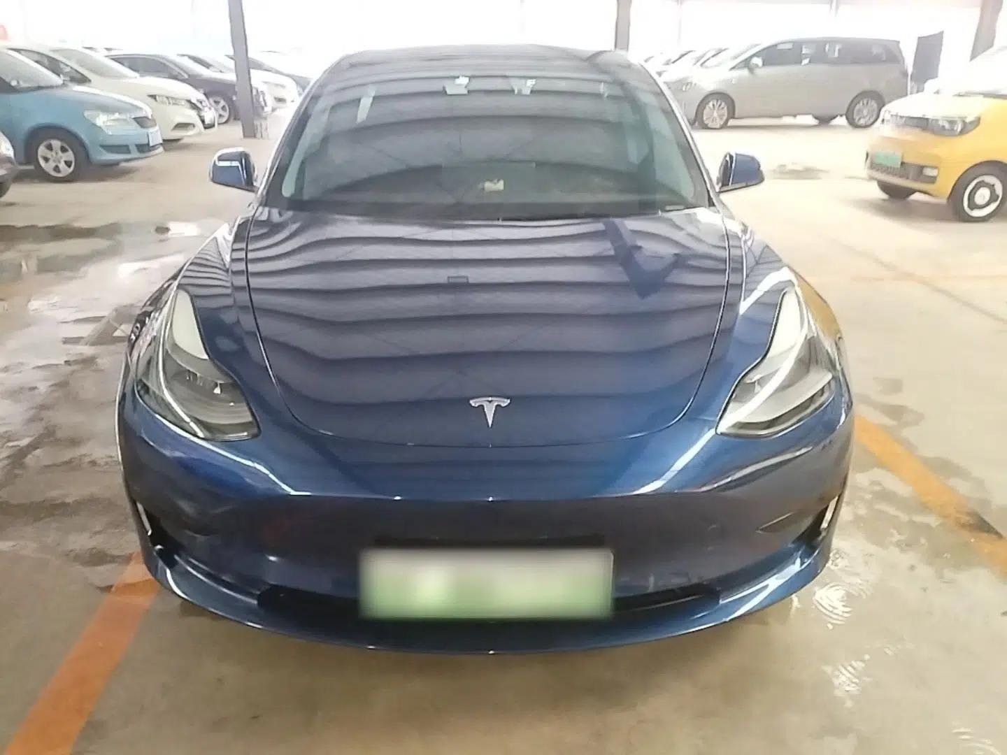 Tesla Model 3 2021 Revised Version Standard Range Rear-Wheel Drive Upgraded Edition 3D1 — миниатюра 2