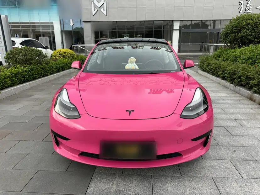 Tesla Model 3 2021 Standard Range Rear-Drive Upgraded Version — миниатюра 2