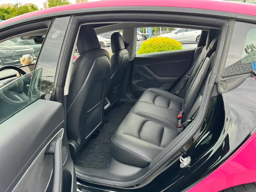 Tesla Model 3 2021 Standard Range Rear-Drive Upgraded Version — миниатюра 16