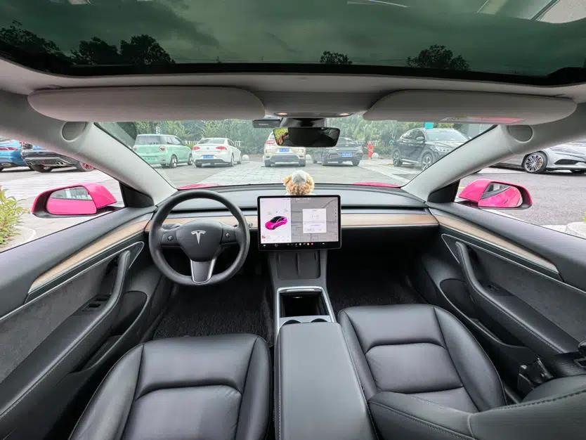 Tesla Model 3 2021 Standard Range Rear-Drive Upgraded Version — миниатюра 17