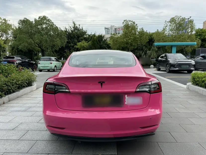 Tesla Model 3 2021 Standard Range Rear-Drive Upgraded Version — миниатюра 6
