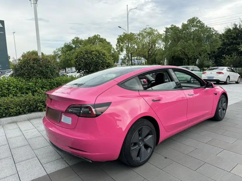 Tesla Model 3 2021 Standard Range Rear-Drive Upgraded Version — миниатюра 8