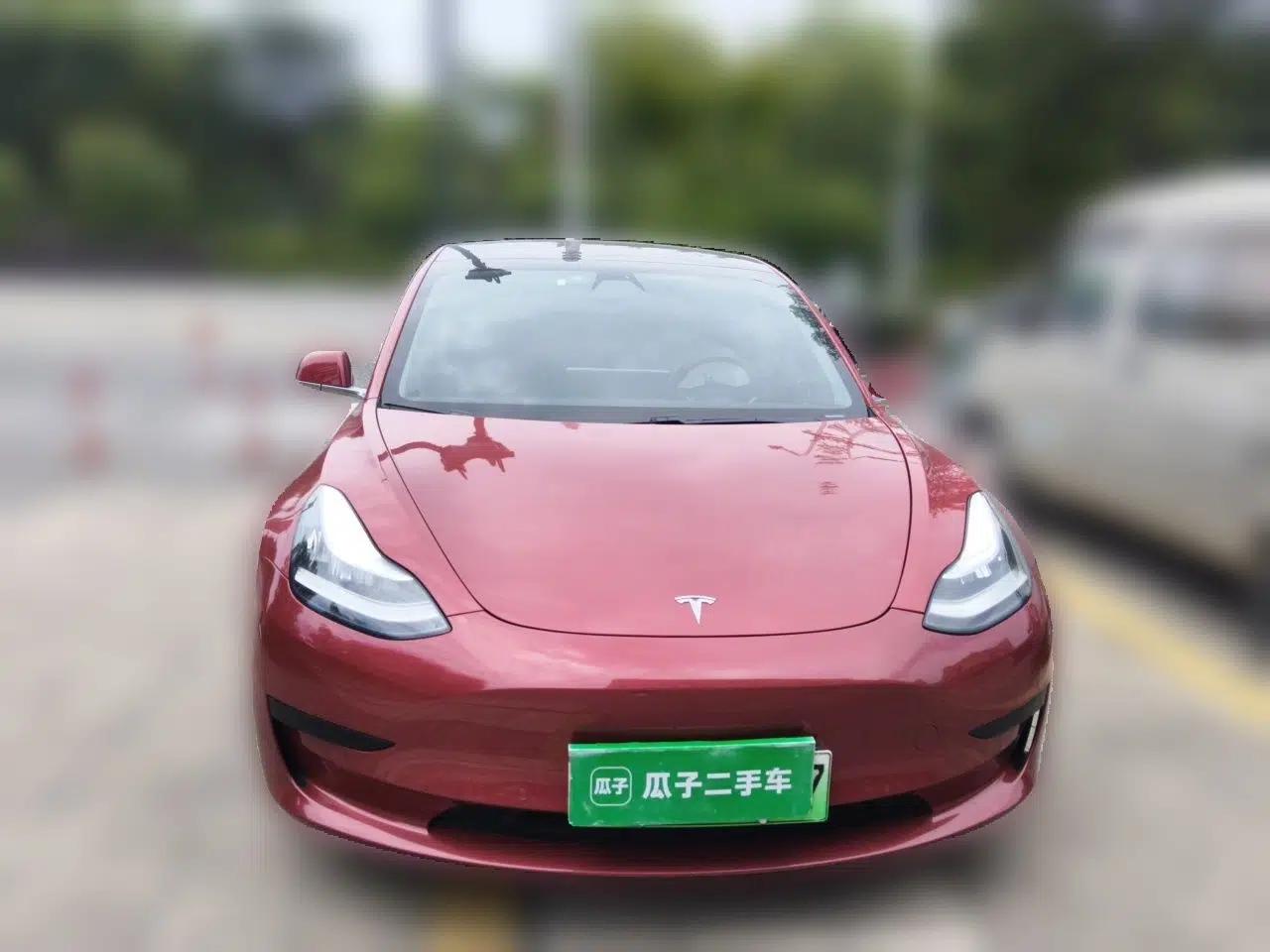 Tesla Model 3 2020 Revised Version Standard Range Rear-Wheel Drive – Upgraded Edition — миниатюра 2