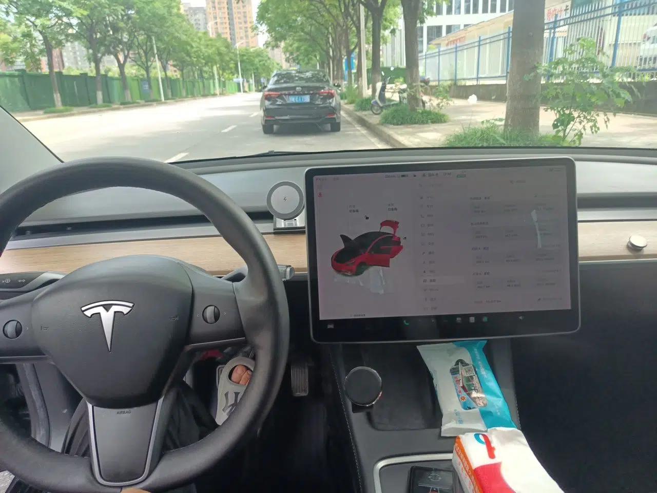 Tesla Model 3 2021 Revised Version Standard Range Rear-Wheel Drive Upgraded Edition 3D1 — миниатюра 11