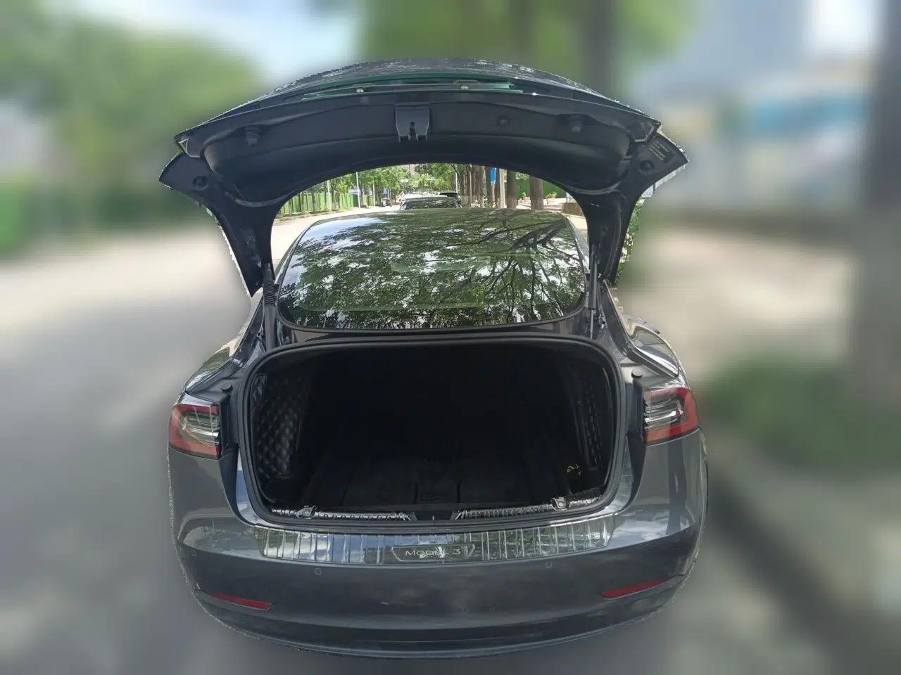 Tesla Model 3 2021 Revised Version Standard Range Rear-Wheel Drive Upgraded Edition 3D1 — миниатюра 19