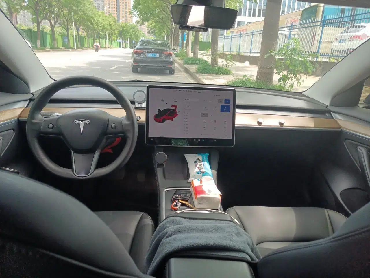 Tesla Model 3 2021 Revised Version Standard Range Rear-Wheel Drive Upgraded Edition 3D1 — миниатюра 9