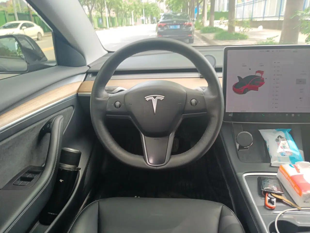 Tesla Model 3 2021 Revised Version Standard Range Rear-Wheel Drive Upgraded Edition 3D1 — миниатюра 10