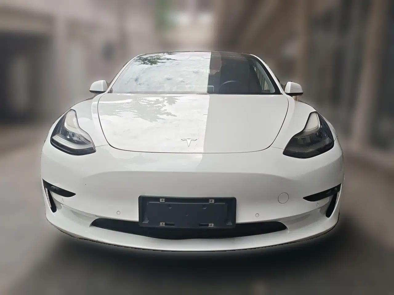 Tesla Model 3 2020 Standard Range Rear-Wheel Drive Upgraded Version — миниатюра 2