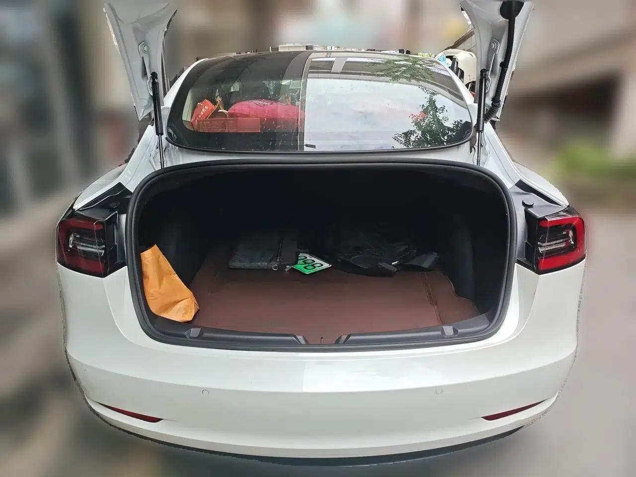 Tesla Model 3 2020 Standard Range Rear-Wheel Drive Upgraded Version — миниатюра 19