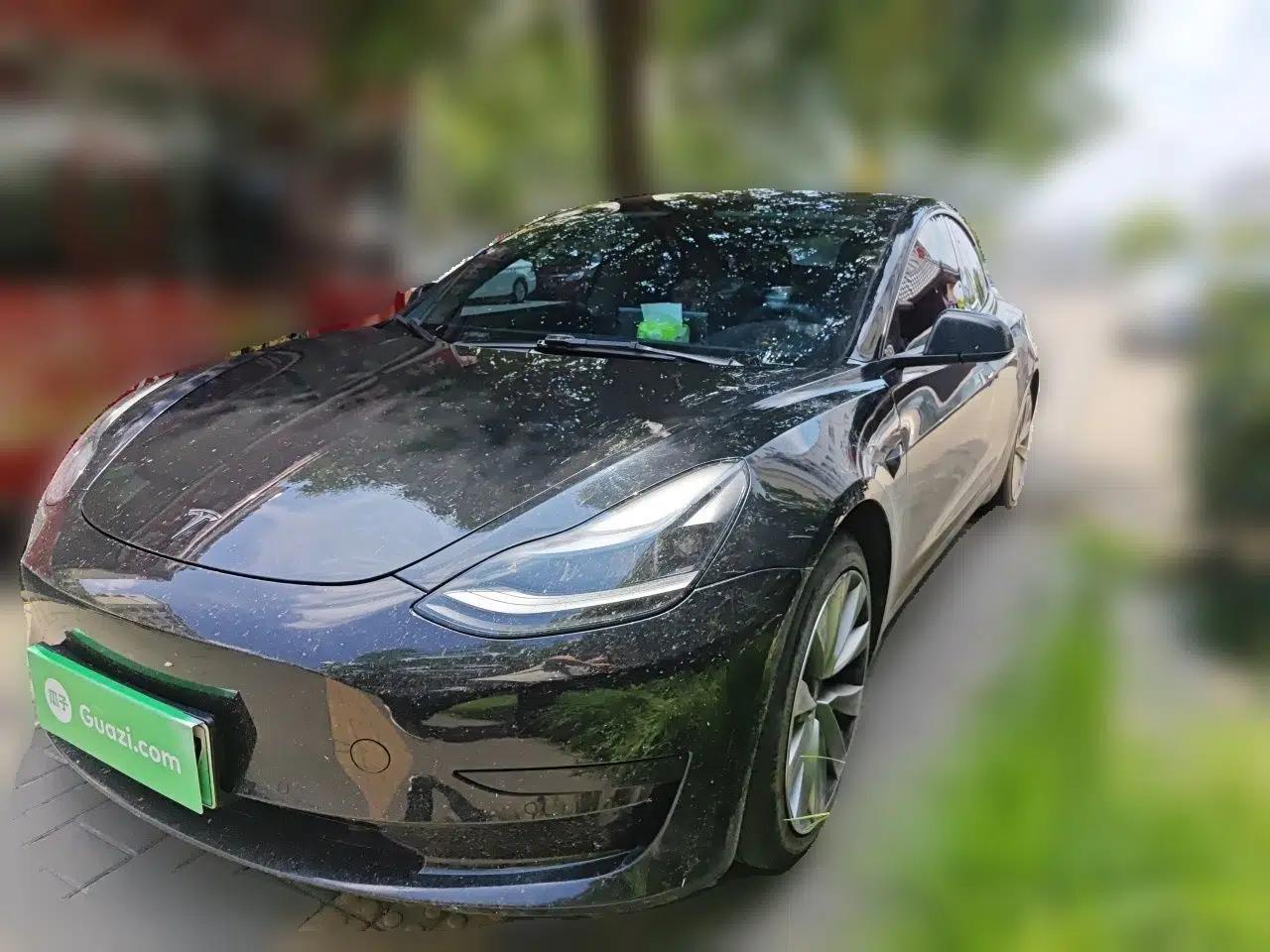 Tesla Model 3 2021 Revised Version Standard Range Rear-Wheel Drive Upgraded Edition 3D1 — миниатюра 1