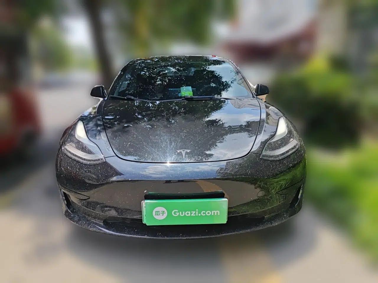 Tesla Model 3 2021 Revised Version Standard Range Rear-Wheel Drive Upgraded Edition 3D1 — миниатюра 2