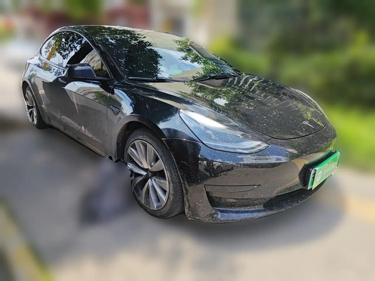 Tesla Model 3 2021 Revised Version Standard Range Rear-Wheel Drive Upgraded Edition 3D1 — миниатюра 3