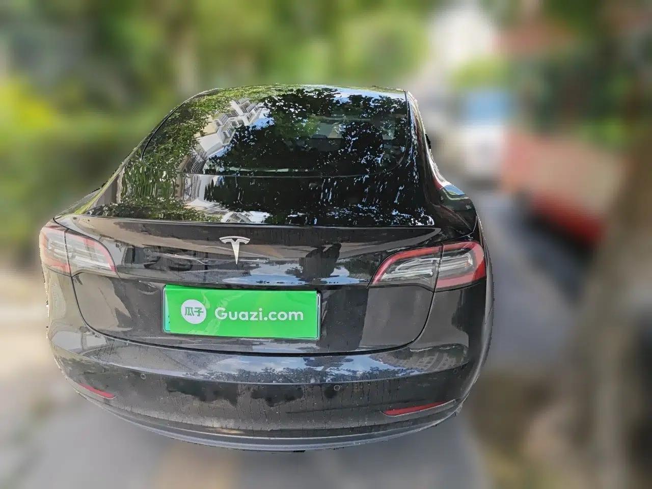 Tesla Model 3 2021 Revised Version Standard Range Rear-Wheel Drive Upgraded Edition 3D1 — миниатюра 5
