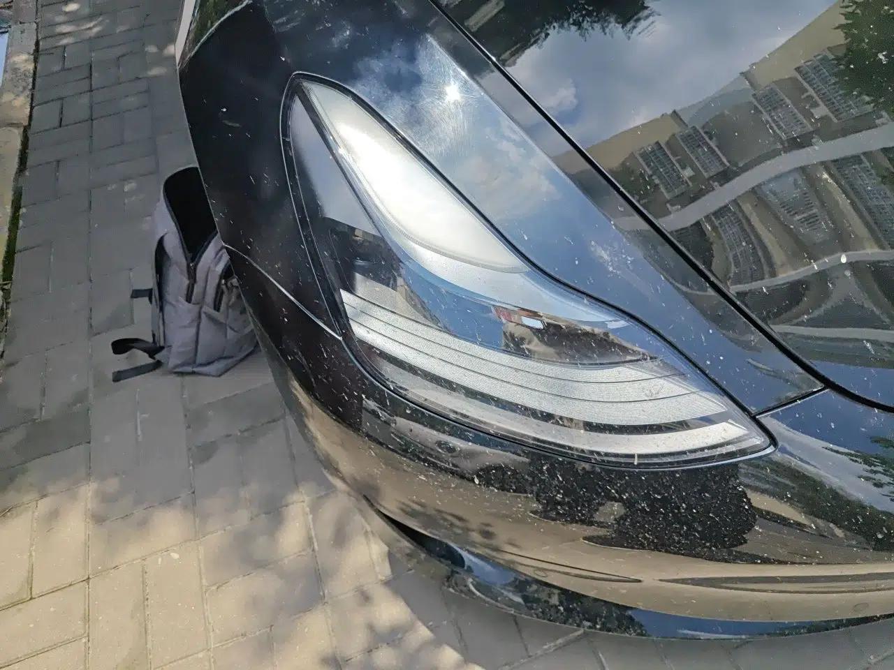 Tesla Model 3 2021 Revised Version Standard Range Rear-Wheel Drive Upgraded Edition 3D1 — миниатюра 7