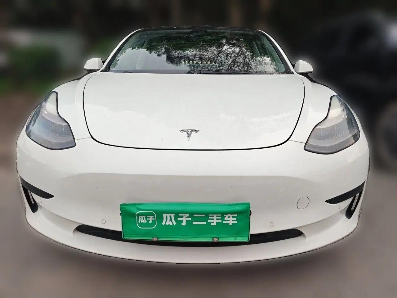 Tesla Model 3 2021 Revised Version Standard Range Rear-Wheel Drive Upgraded Edition 3D1 — миниатюра 2