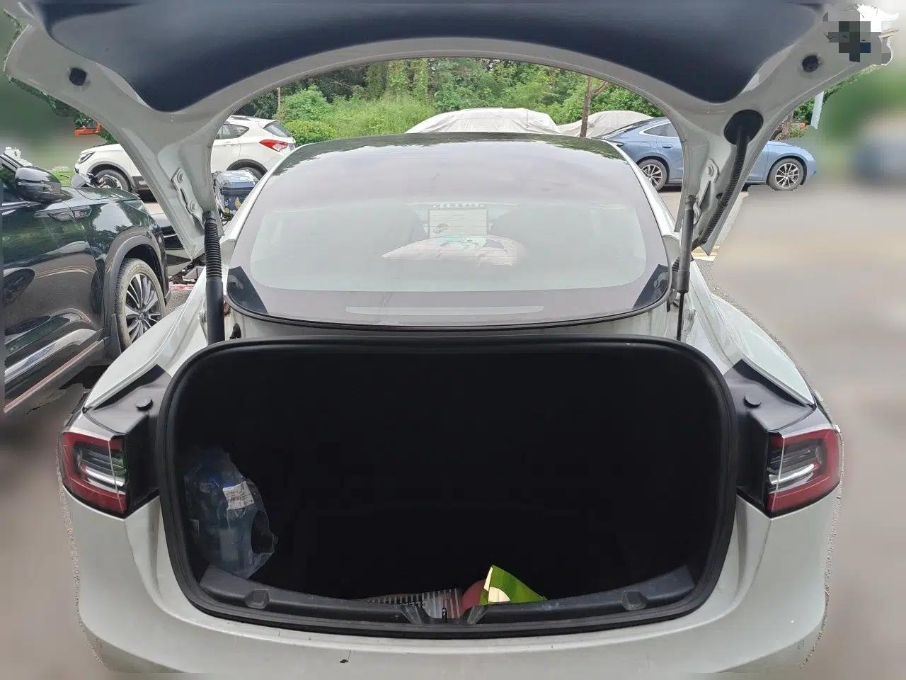 Tesla Model 3 2021 Revised Version Standard Range Rear-Wheel Drive Upgraded Edition 3D1 — миниатюра 19