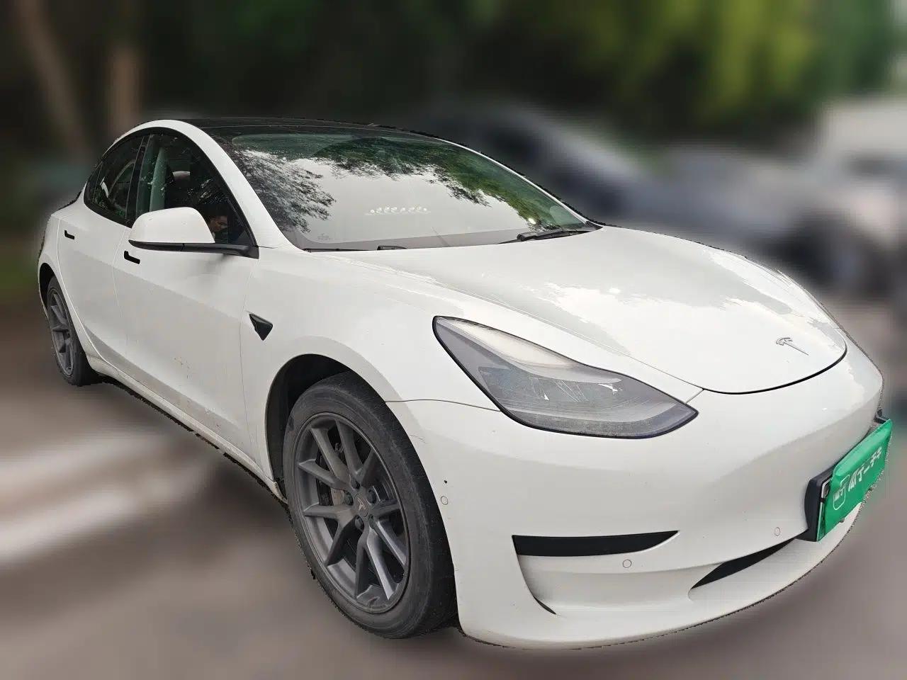 Tesla Model 3 2021 Revised Version Standard Range Rear-Wheel Drive Upgraded Edition 3D1 — миниатюра 3