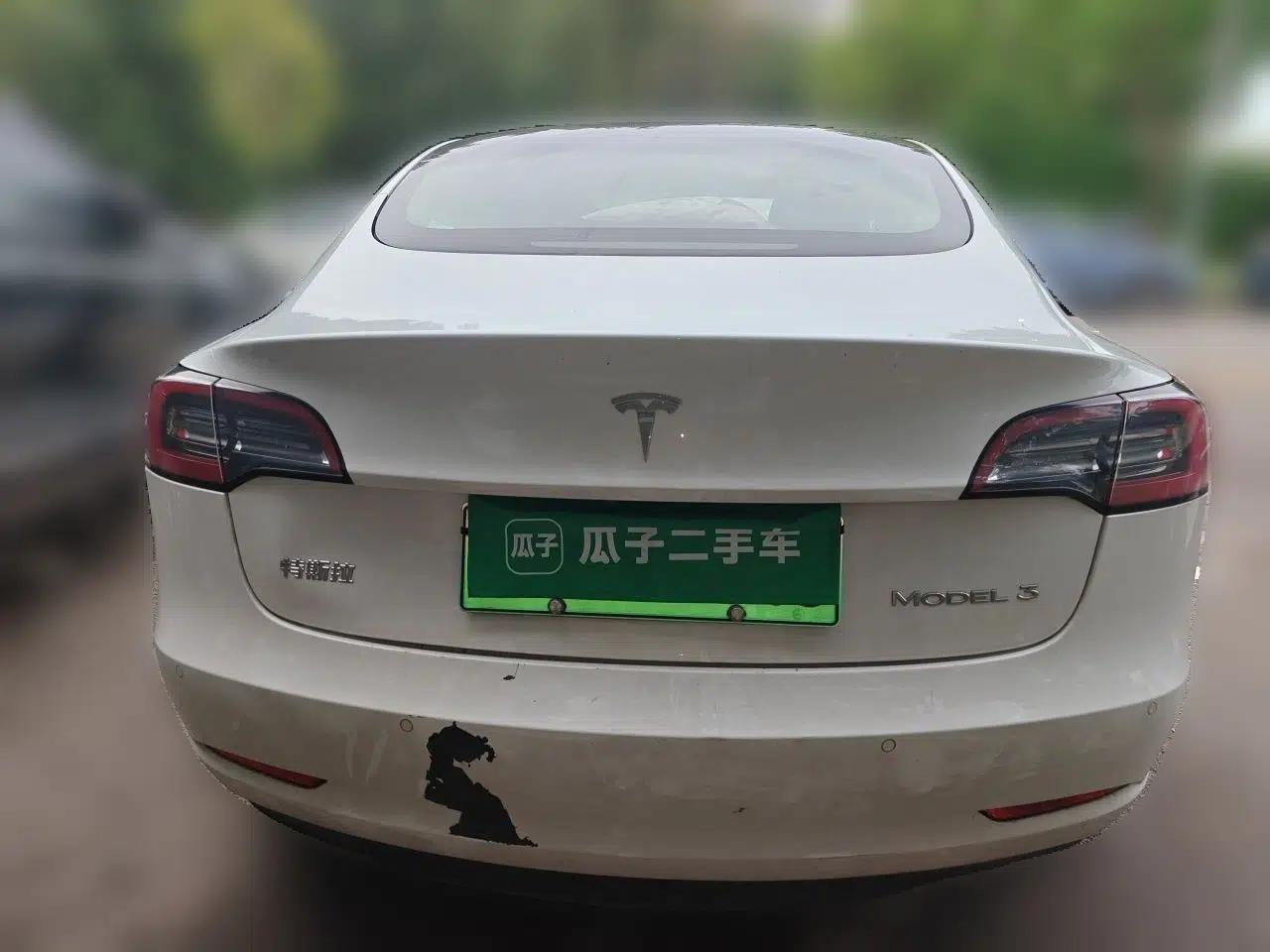 Tesla Model 3 2021 Revised Version Standard Range Rear-Wheel Drive Upgraded Edition 3D1 — миниатюра 5