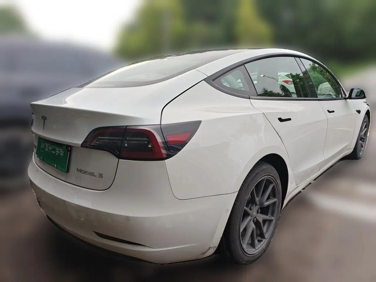 Tesla Model 3 2021 Revised Version Standard Range Rear-Wheel Drive Upgraded Edition 3D1 — миниатюра 6
