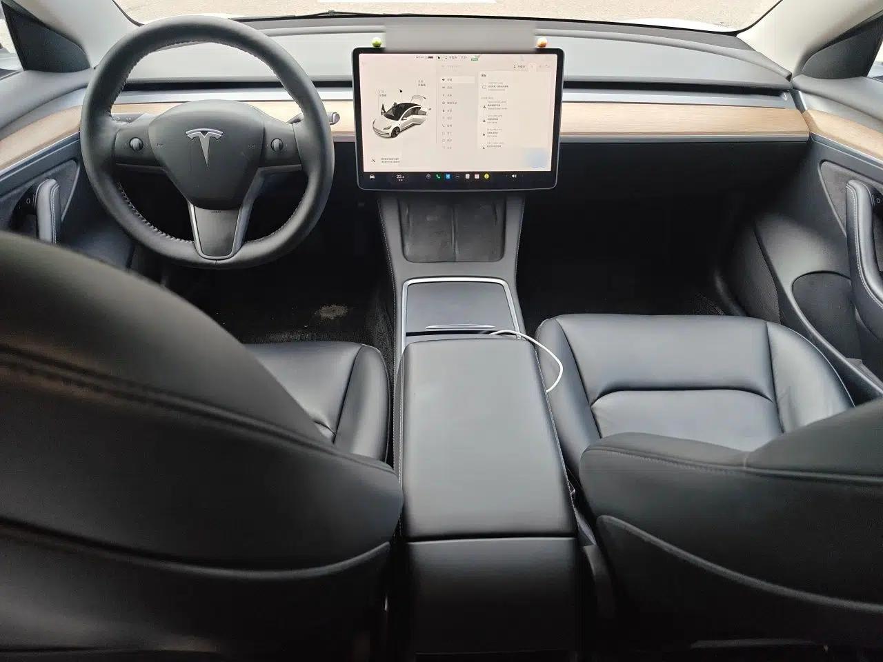 Tesla Model 3 2021 Revised Version Standard Range Rear-Wheel Drive Upgraded Edition 3D1 — миниатюра 9