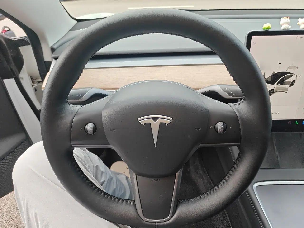 Tesla Model 3 2021 Revised Version Standard Range Rear-Wheel Drive Upgraded Edition 3D1 — миниатюра 10