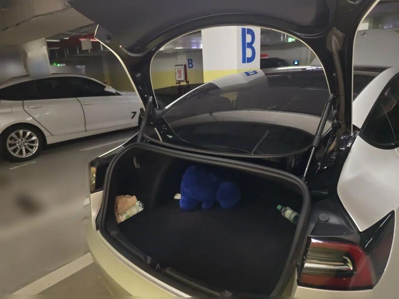 Tesla Model 3 2022 Rear-Wheel-Drive Version — миниатюра 19