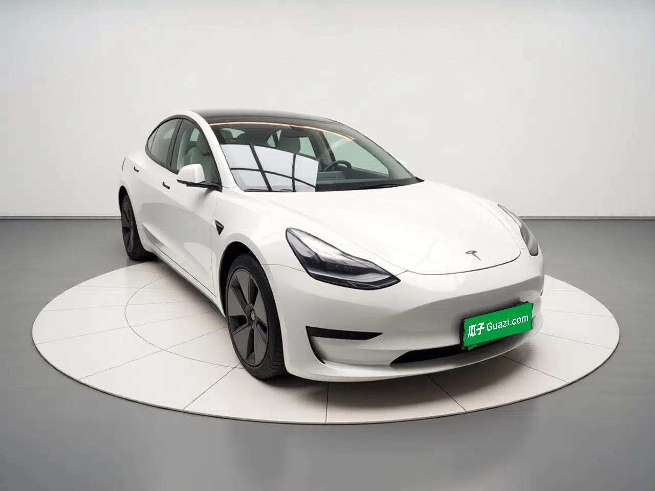 Tesla Model 3 2021 Standard Range Rear-Wheel Drive Upgraded Version 3D6 — миниатюра 3