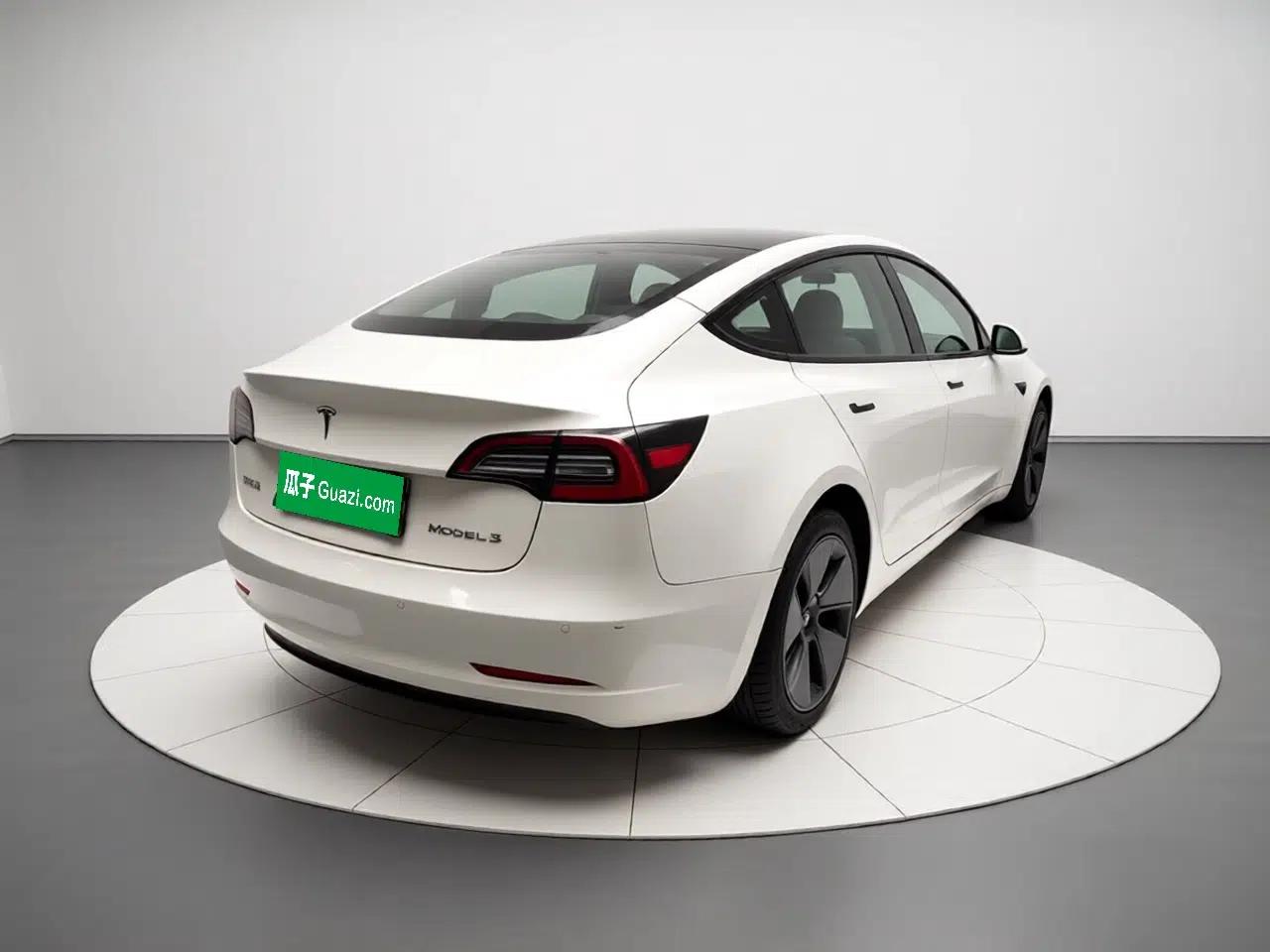Tesla Model 3 2021 Standard Range Rear-Wheel Drive Upgraded Version 3D6 — миниатюра 6