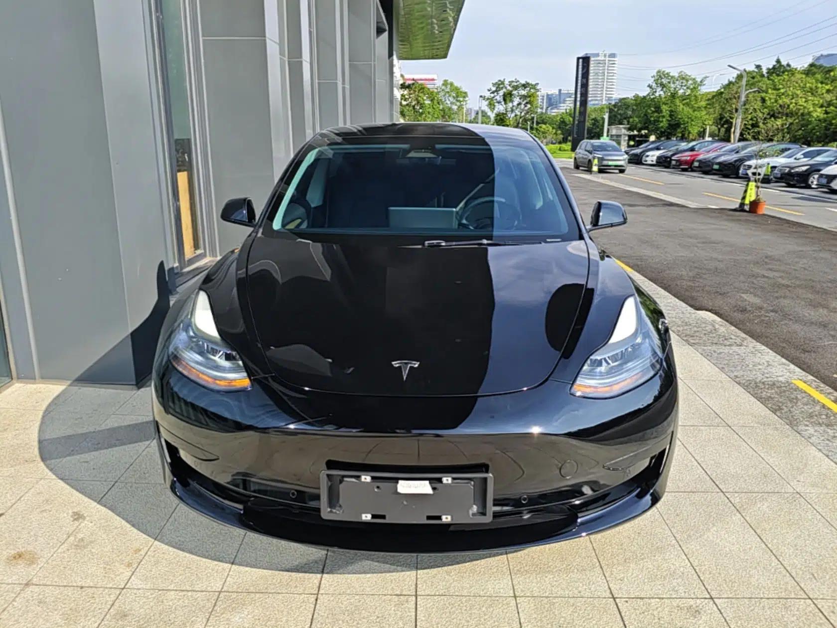 Tesla Model 3 2021 Revised Version Standard Range Rear-Wheel Drive Upgraded Edition 3D1 — миниатюра 2