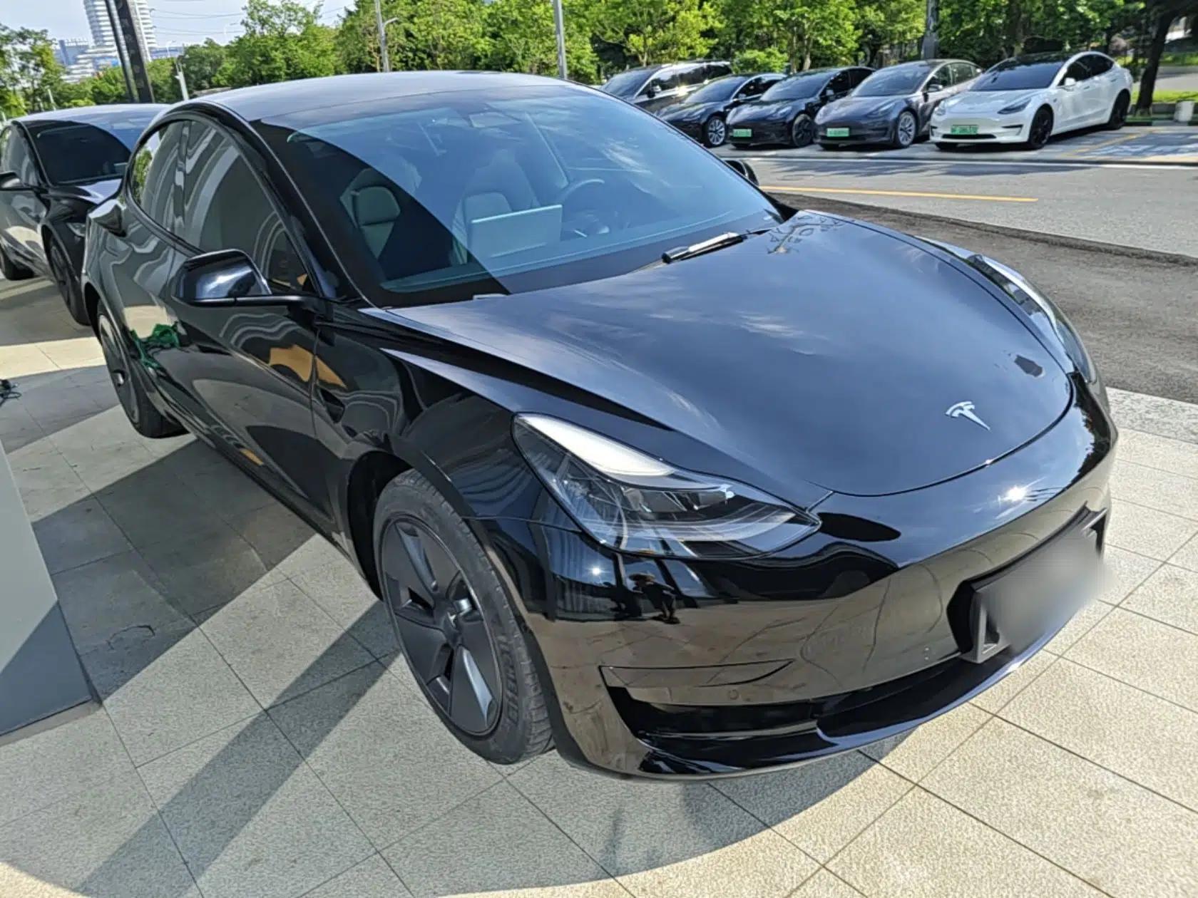 Tesla Model 3 2021 Revised Version Standard Range Rear-Wheel Drive Upgraded Edition 3D1 — миниатюра 3