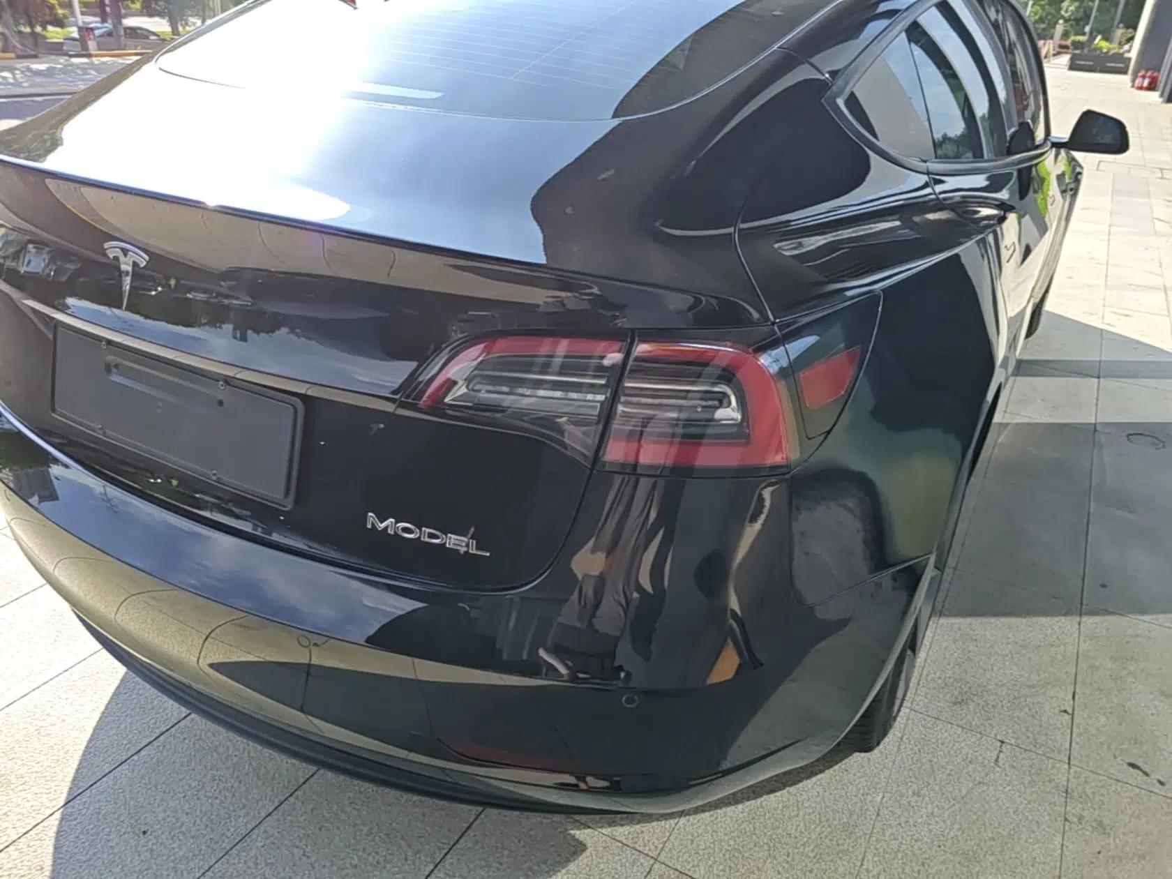Tesla Model 3 2021 Revised Version Standard Range Rear-Wheel Drive Upgraded Edition 3D1 — миниатюра 9