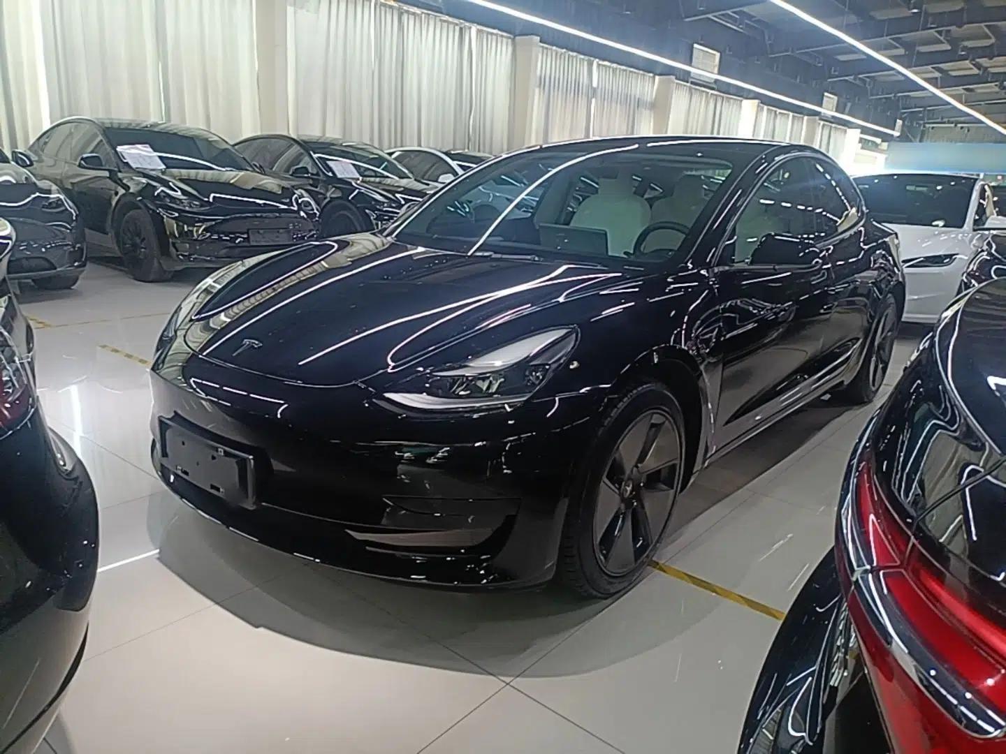 Tesla Model 3 2021 Standard Range Rear-Wheel Drive Upgraded Version 3D6 — миниатюра 1