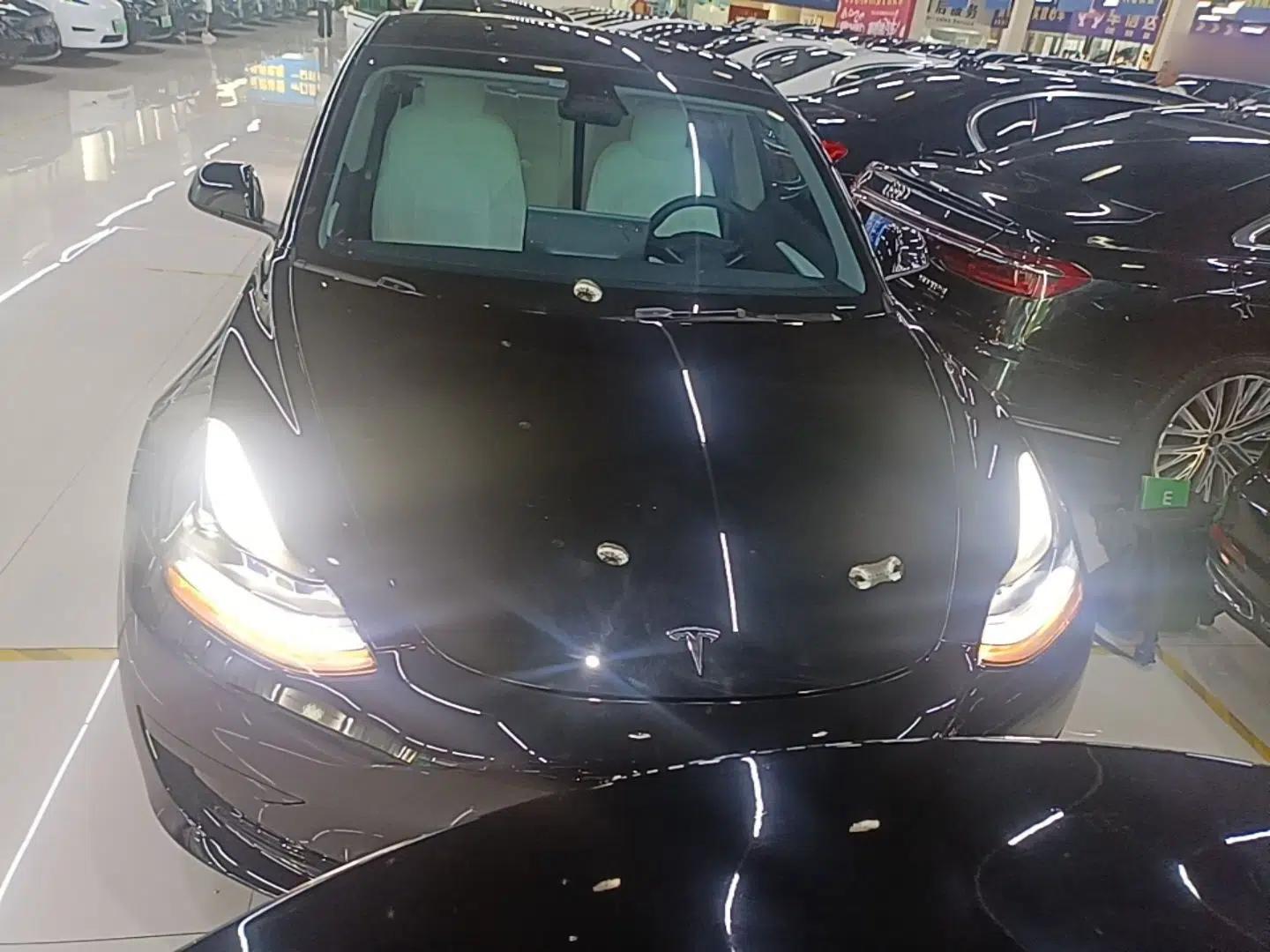 Tesla Model 3 2021 Standard Range Rear-Wheel Drive Upgraded Version 3D6 — миниатюра 2