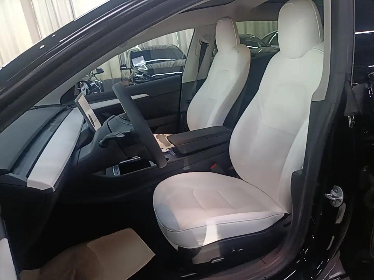 Tesla Model 3 2021 Standard Range Rear-Wheel Drive Upgraded Version 3D6 — миниатюра 17