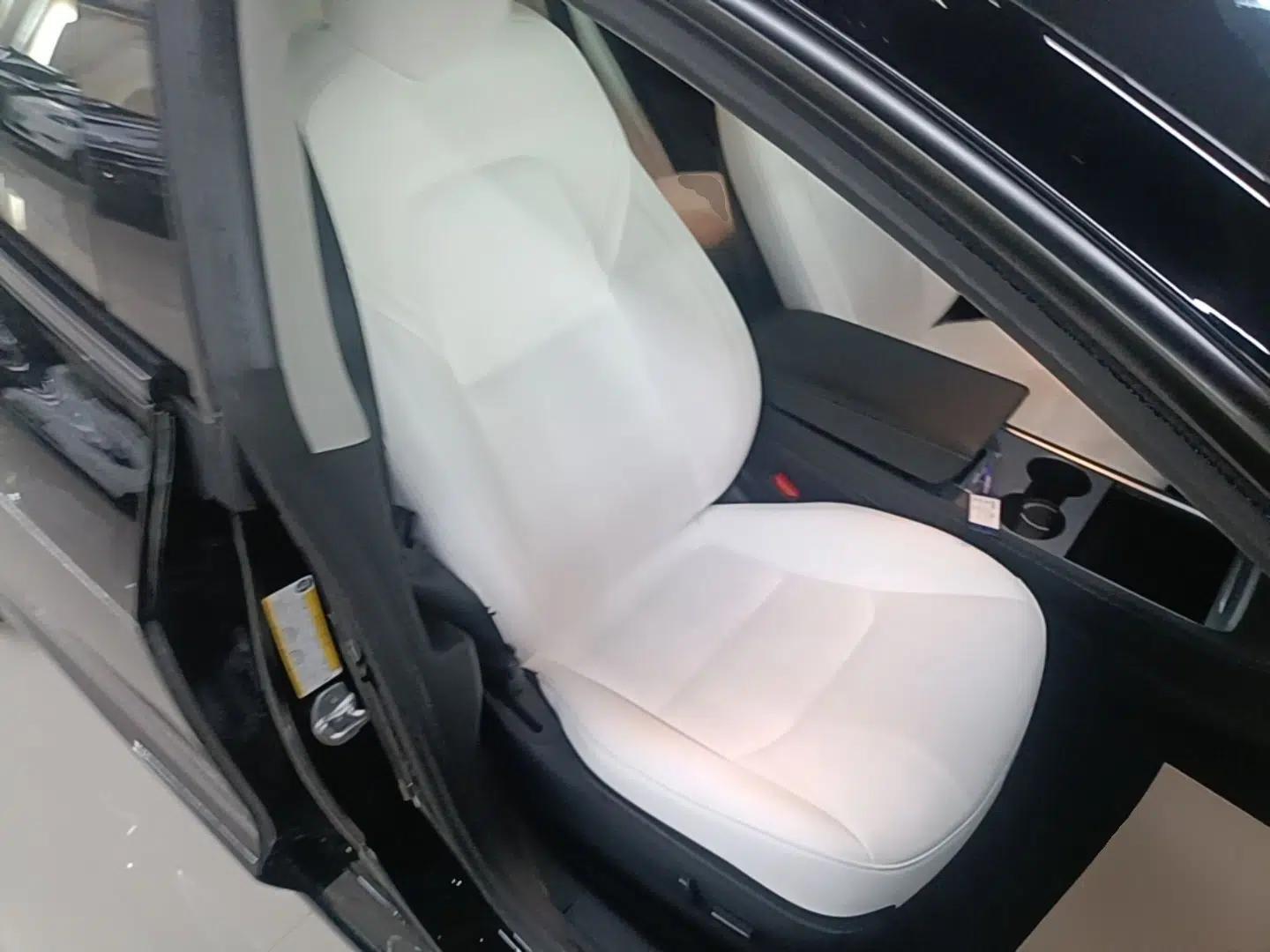 Tesla Model 3 2021 Standard Range Rear-Wheel Drive Upgraded Version 3D6 — миниатюра 19