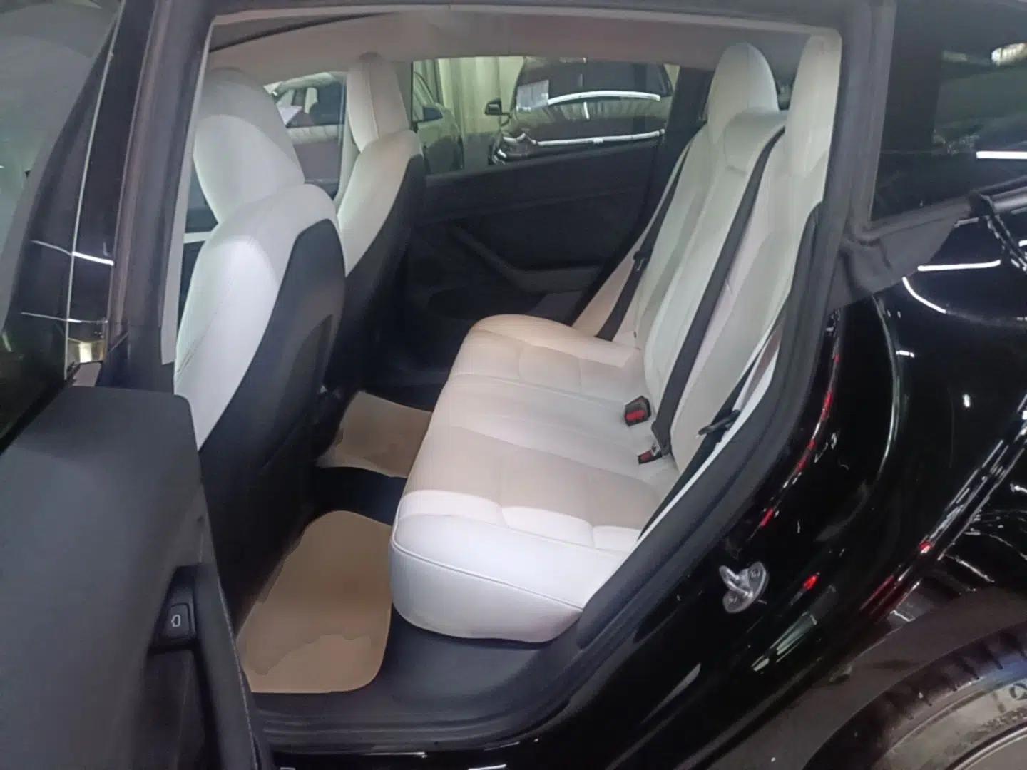 Tesla Model 3 2021 Standard Range Rear-Wheel Drive Upgraded Version 3D6 — миниатюра 20