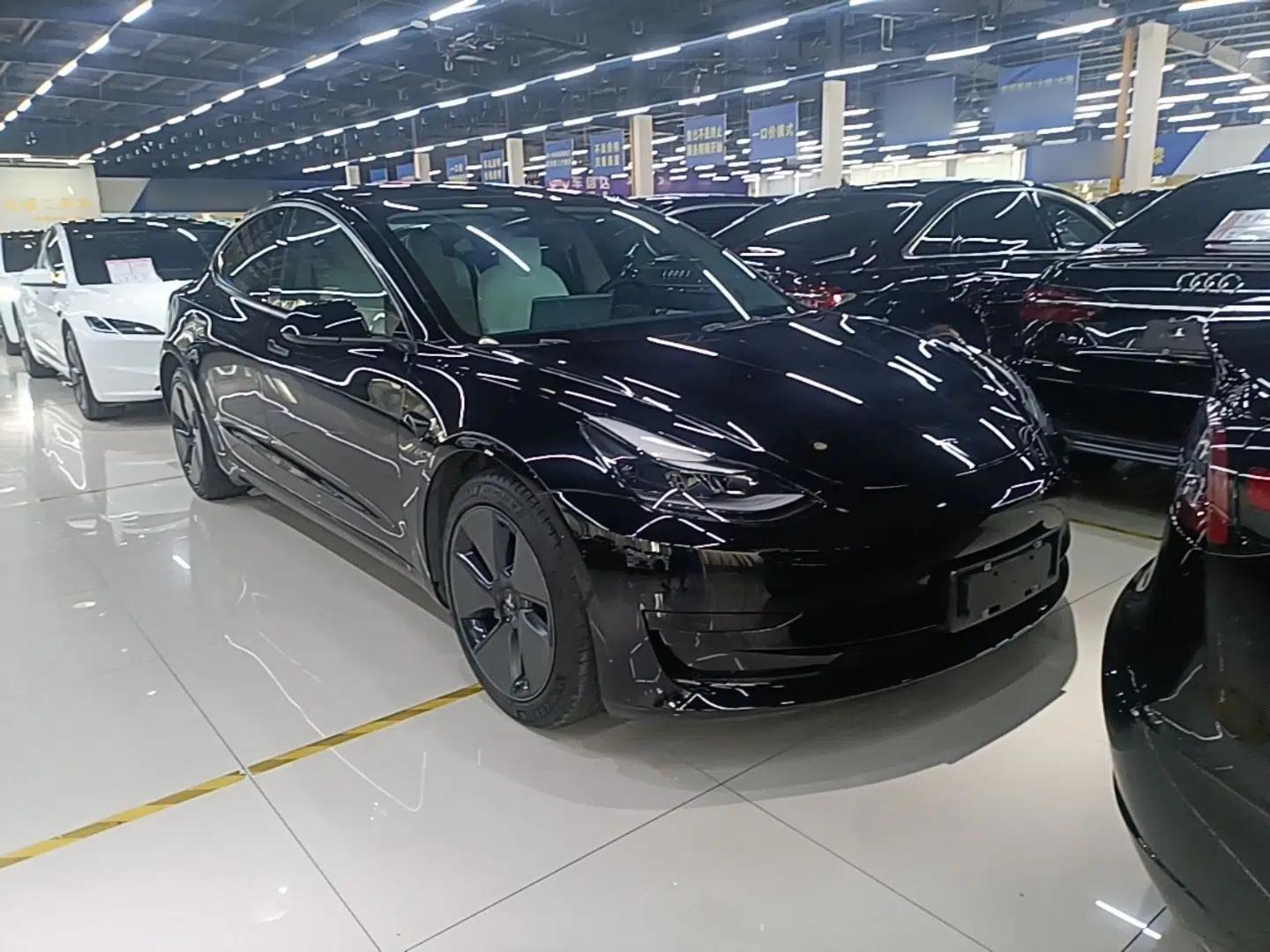 Tesla Model 3 2021 Standard Range Rear-Wheel Drive Upgraded Version 3D6 — миниатюра 3