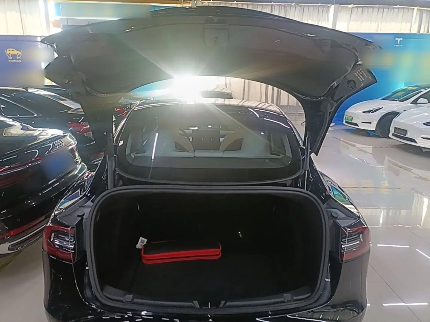 Tesla Model 3 2021 Standard Range Rear-Wheel Drive Upgraded Version 3D6 — миниатюра 22