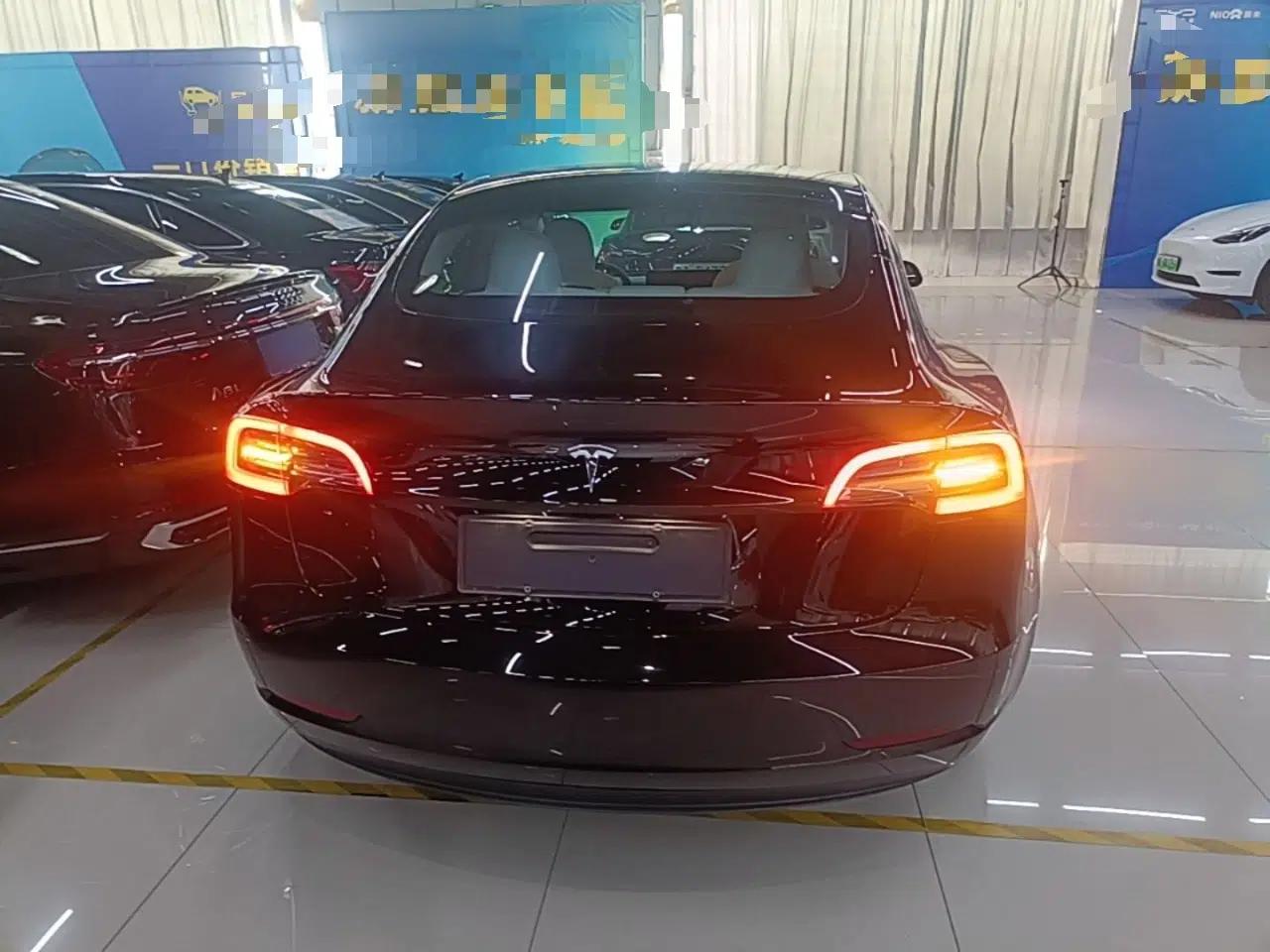 Tesla Model 3 2021 Standard Range Rear-Wheel Drive Upgraded Version 3D6 — миниатюра 5