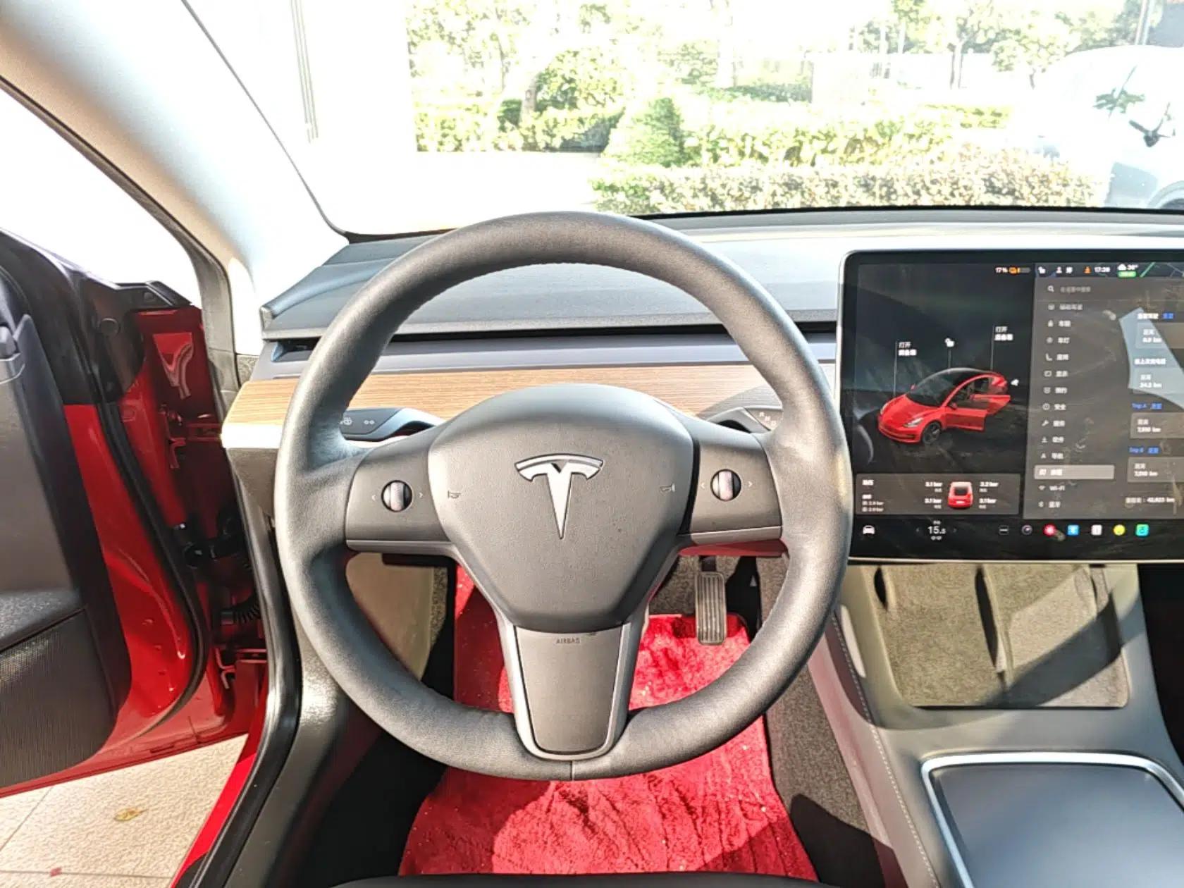 Tesla Model 3 2021 Standard Range Rear-Drive Upgraded Version — миниатюра 13