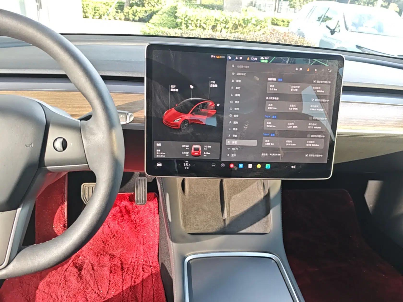 Tesla Model 3 2021 Standard Range Rear-Drive Upgraded Version — миниатюра 15